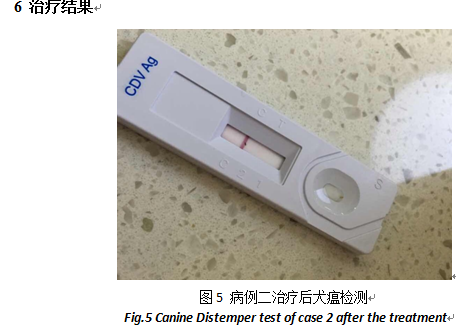 三例犬瘟熱的診治報(bào)告