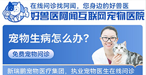 聯(lián)動(dòng)愛(ài)寵狂歡節(jié)！好獸醫(yī)阿聞互聯(lián)網(wǎng)寵物醫(yī)院9月限時(shí)免費(fèi)問(wèn)診