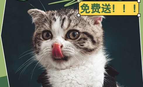 妙三多預(yù)防什么疾病