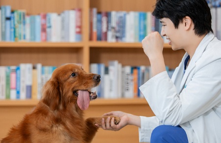 狗拉肚子怎么回事？