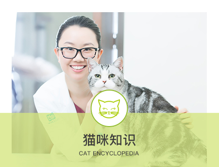 貓貓打噴嚏是為啥？寵物醫(yī)生